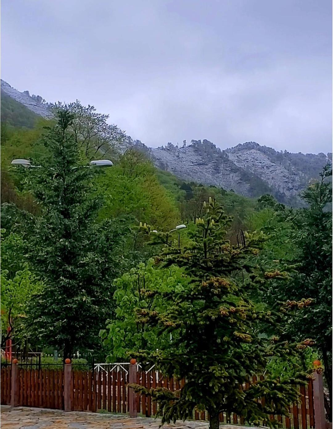 Panorama Dajti